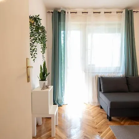 Boulevard 1-bedroom Flat * 노비사드